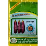 Long Brinjal Seeds 1gm Re-Pack BADC Seeds