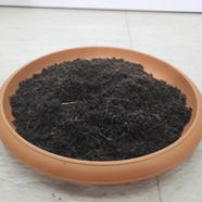 Loose Cocopeat 50 Percent Dry- 1 Kg