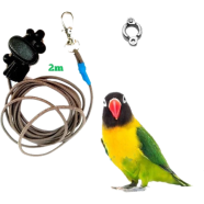 Lovebird Bird Anklet/ Foot Ring With 2m Elastic Harness Set