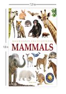 Mammals - Animals