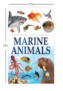 Marine Animals - Animals