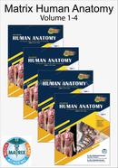 Matrix Human Anatomy (Set of Vols: 1, 2, 3, and 4)