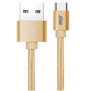 Megastar 2M USB to Type CType-C Fast Charging Cable-Gold - (FC-C001)3A 