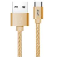 Megastar 2M USB to Type CType-C (FC-C001)3A Fast Charging Cable-Gold image