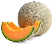 Melon Seed 