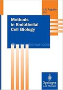 Methods in Endothelial Cell Biology