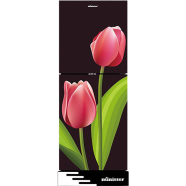 Minister M-224 El Tulip 224 Ltr Refrigerator