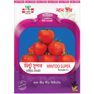 Mintoo Super Hybrid Tomato Seed