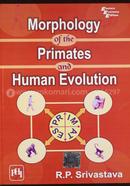 Morphology of the Primates and Human Evolution