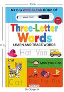 My Big Wipe And Clean Book of Three Letter Words
