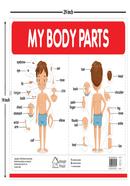 My Body Parts - My First Early Learning Wall Chart