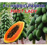 Naomi Seed Hybrid Papaya First Lady 10 Pcs Seed - F-1