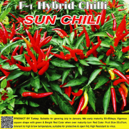Naomi Seed Hybrid Sun Chili - 1 gm