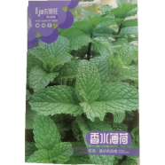 Naomi Mint Seeds Intact Pack (পুদিনা বীজ) - 1 gm