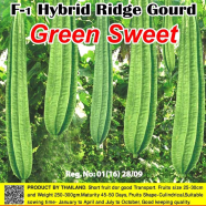 Naomi Seed Ridge Gourd Green sweet - 5 gm