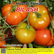 Naomi Seed Tomato Seed Hybrid - 1 gm