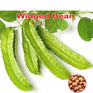 Naomi Seed Winged Bean 5 gm