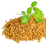 Nature Leaf Fenugreek( Methi) Whole - 200 gm Pack