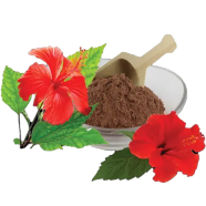 Nature Leaf Hibiscus Flower Powder(Joba Ful Gura) - 100 gm