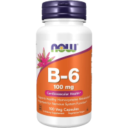 Now Foods Vitamin B6 100mg Capsule