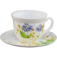 Opal Glass Cup And Saucer - X190/504