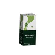 Organikaon Rosemary Essential Oil (রোজমেরী এসেনশিয়াল অয়েল) - 10 ml icon