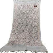 Orginal Kashmiri Poshmina Shawl For Women Winter image