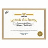 PAPERTREE WHITE ICE GOLD CERTIFICATE PAPER- 10 PCS