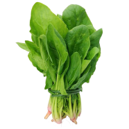 Panjab All Green Palong Seeds Indian Repack - 1gm