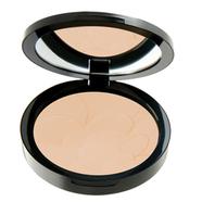 Pastel Profashion Advanced Compact Powder 45