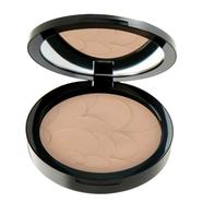 Pastel Profashion Advanced Compact Powder 50