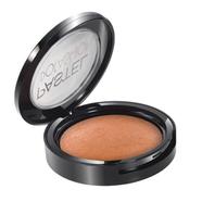 Pastel Profashion Terracotta Blush-On 03