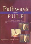 Pathways Of The Pulp