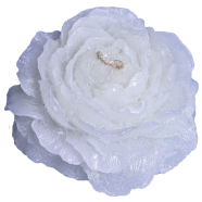 Peony Flower Sandalwood Fragrance Candle - White Color