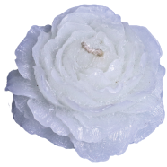 Peony Flower Sandalwood Fragrance Candle - White Color