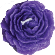 Peony Flower Sandalwood Fragrance Candle - Lavender Colour