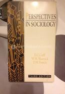 Perspectives in Sociology