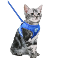 Pet Harnesses Cat Traction Lash Vest Cat Chest Lash Is Reflective At Night To Prevent Breaking Away From The Walking Cat Leash icon