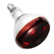 Philips Infrared Lamp BULB-230W