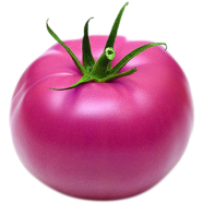 Pink Tomato Seed 