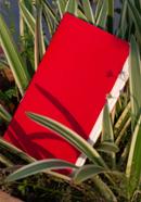 Pocket Series Red Notebook