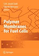 Polymer Membranes for Fuel Cells