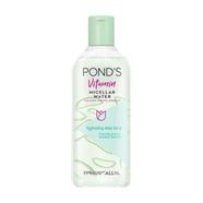 Ponds Hydrating Aloe Vera Vitamin Micellar Water 100 ml (UAE) - 139700932