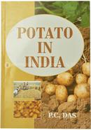 Potato in India