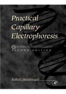 Practical Capillary Electrophoresis