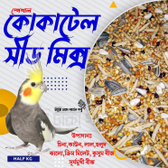 Premium Cockatiel Bird Seed Mix Washed and Clean Half kg