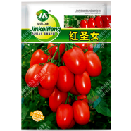 Premium Red Saint Cherry Tomatoes Re-Pack - 10pcs