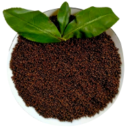 Premium Sreemangal Black Tea -250 gm