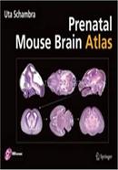 Prenatal Mouse Brain Atlas