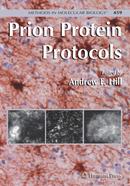 Prion Protein Protocols: 459 (Methods in Molecular Biology)